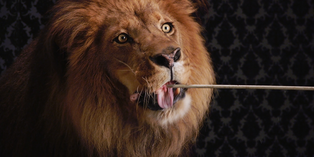 scarletlion.jpg